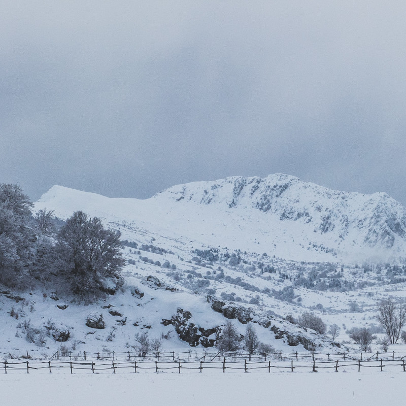 Humanity: An Emotional History